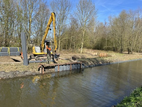 Beaver Excavation Threatens New Residential Area in Dordrecht