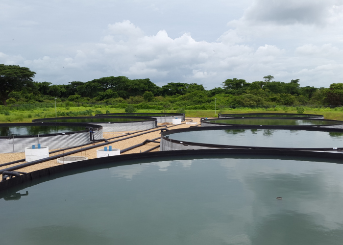 Aquaculture & Fish Farming